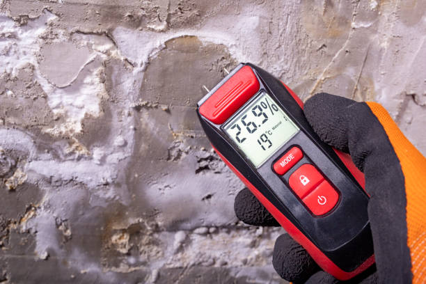 Mold Removal Process in Plainfield Village, CT
