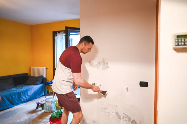 Best Mold Removal Company Near Me  in Plainfield Village, CT